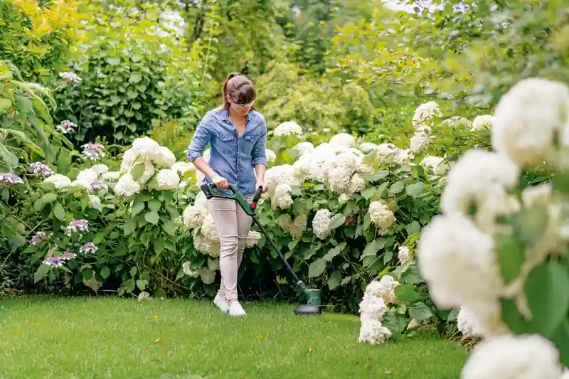 Lawn Edge Trimmer EasyGrassCut 18V-230 Bosch