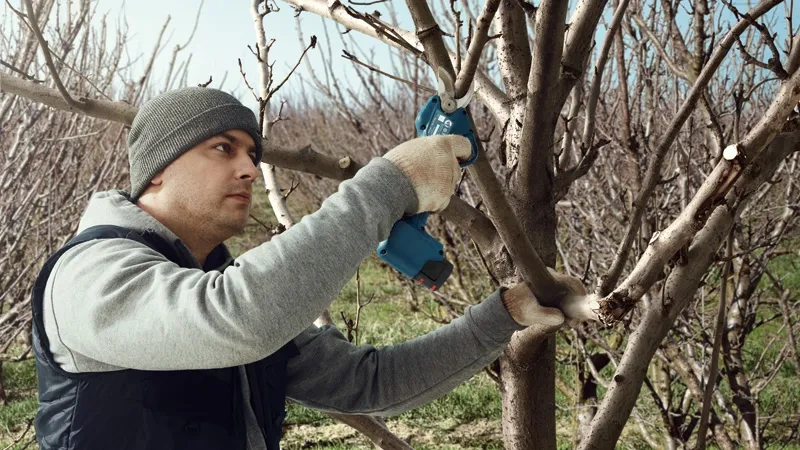 PRO Pro Pruner Bosch