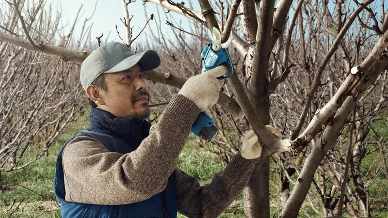 PRO Pro Pruner Bosch