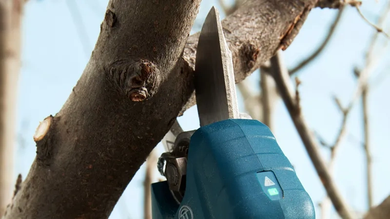 PRO Pro Pruner Bosch