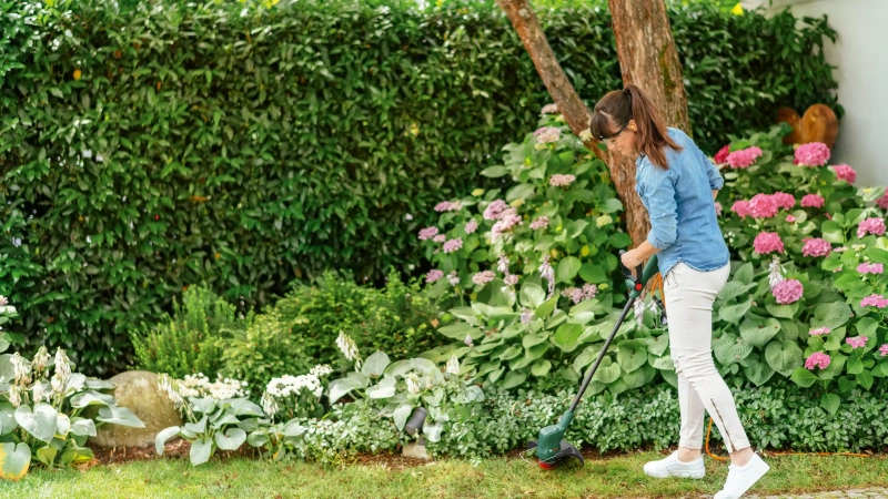 Lawn Edge Trimmer EasyGrassCut 26 image 2