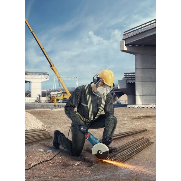 GWS 24-180 JZ Professional Bosch 