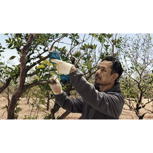 Pro Pruner Professional Bosch 