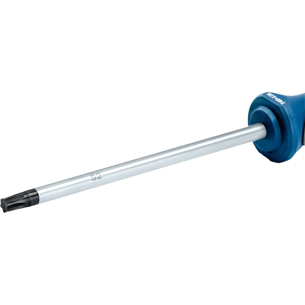 Screwdriver TX40x125 Professional Bosch 