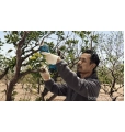 PRO PRUNER PROFESSIONAL