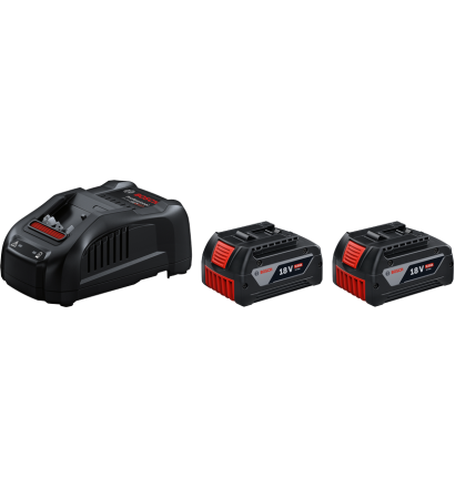 2 x GBA 18V 5.0Ah + GAL 1880 CV Professional